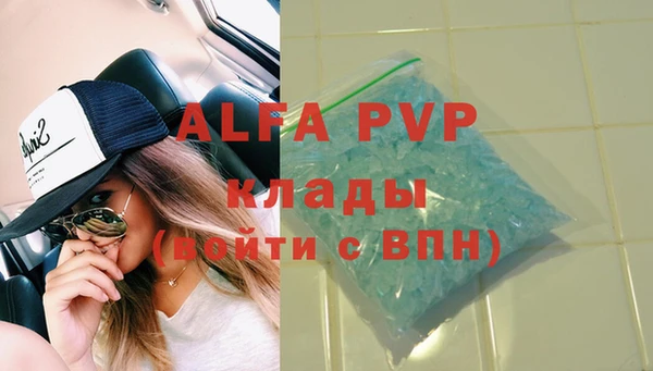 спиды Верея